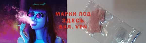 мдма Снежногорск