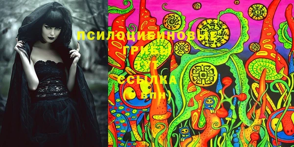 spice Верхний Тагил
