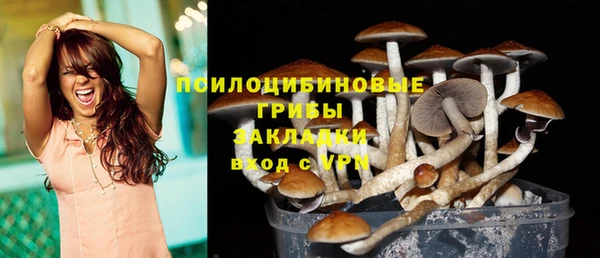 spice Верхний Тагил