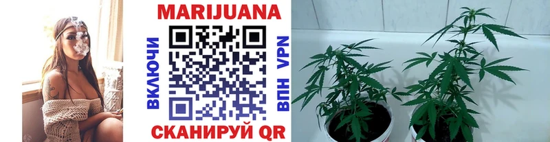 Бошки Шишки Bruce Banner  Северобайкальск 